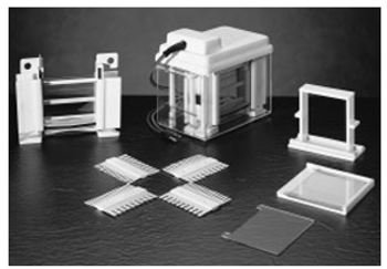 Electrophoresis System Thermo Ec Mini Vertical Gel System Forums