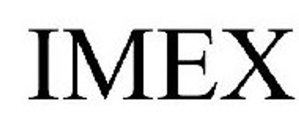 Imex Medical Systems