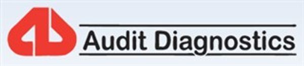 Audit Diagnostics logo