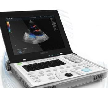 Whale Imaging Sigma P9 Echo