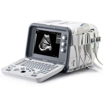 Edan D6