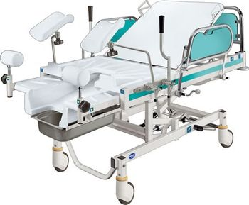 Famed Zywiec - LM-01