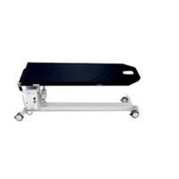 Image Diagnostics Inc - 100 ES