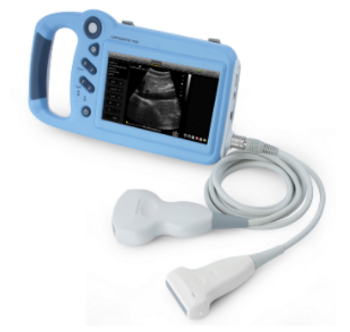 Landwind Medical P09