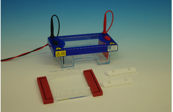 Biotec Fischer - Phero-Sub 1010-E