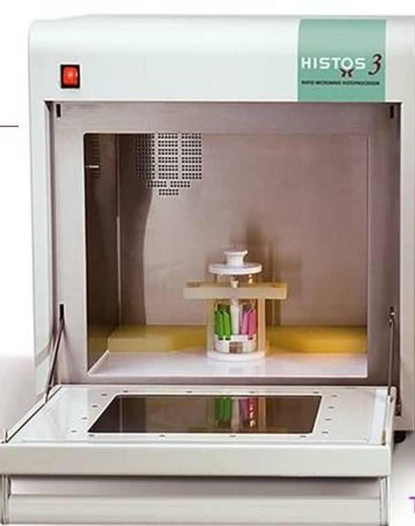 Milestone - HISTOS 3